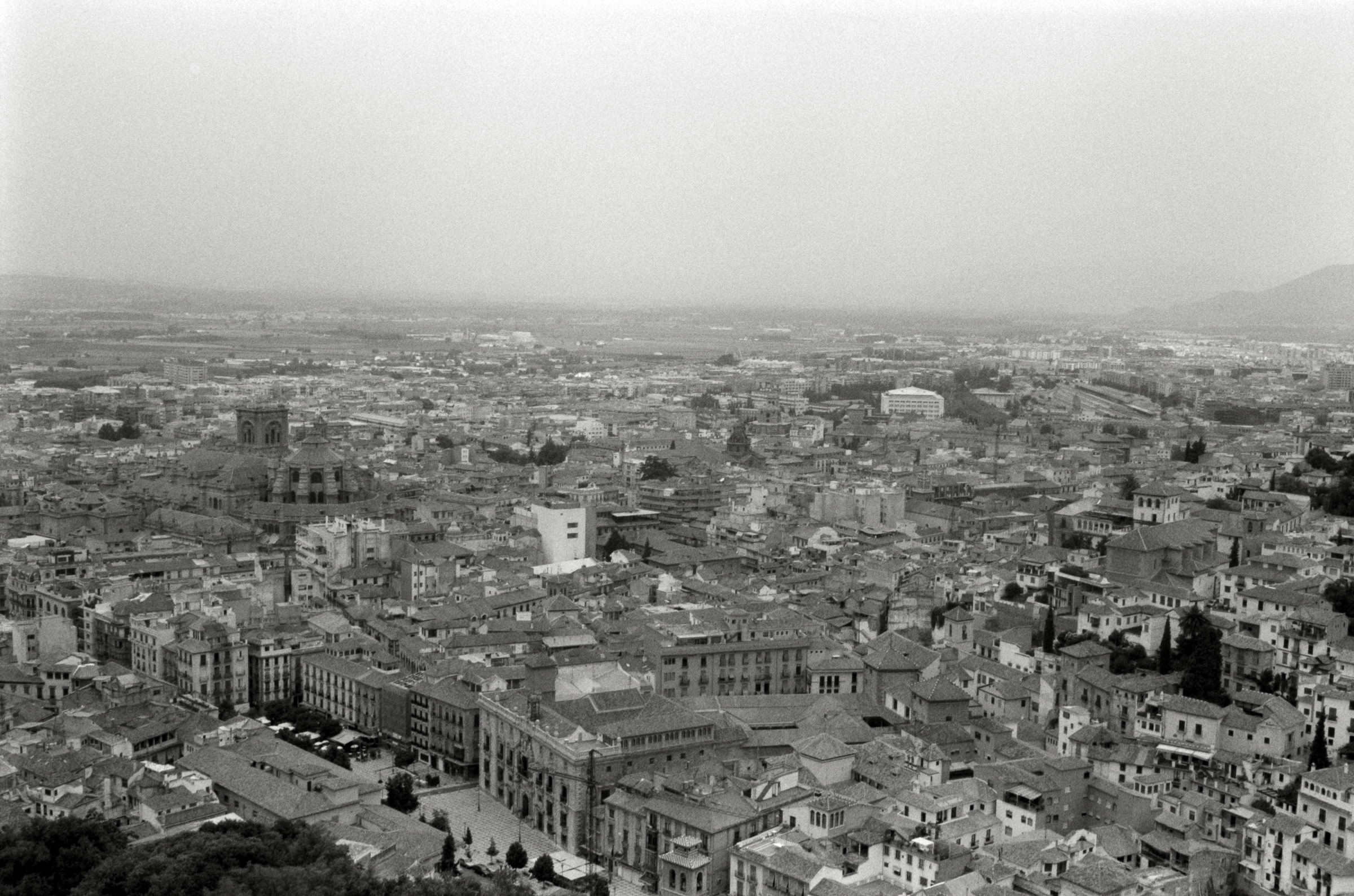 AHP F2001 07 002 sc240901 img13 NLP